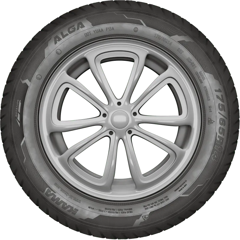 KAMA ALGA (НК-531) нешип в Петрове Вале — KAMA TYRES KAMA ALGA (НК-531) нешип в Петрове Вале